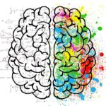Cambios para adaptarse: por qué es clave la plasticidad cerebral
